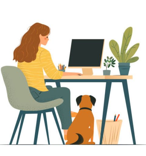 website designer in surat – professional web design services for businesses